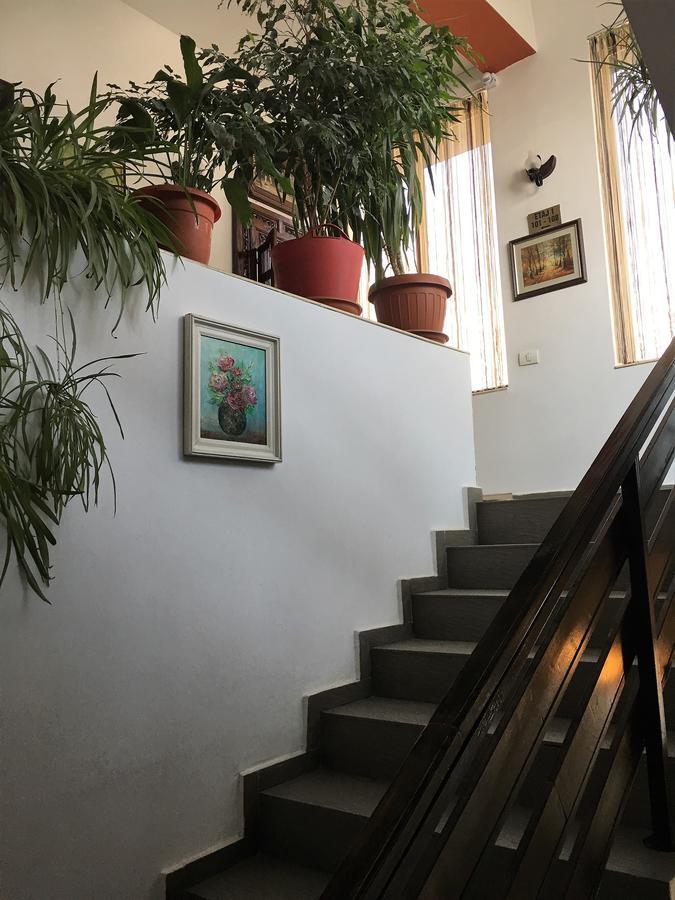 Hotel Taco 부쿠레슈티 외부 사진